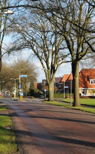 Foto van de Esweg in Beilen